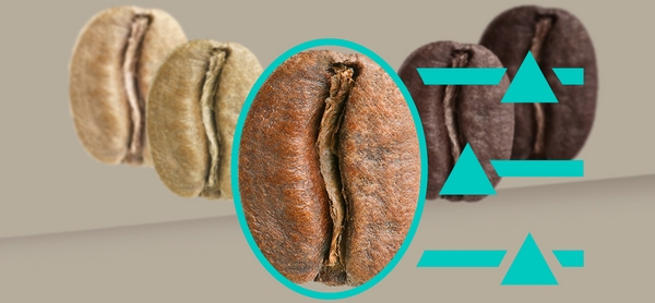Kaffeebohnen in verschiedenen Röstgraden nebeneinander mit einer hervorgehobenen Bohne in der Mitte