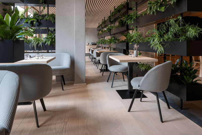 Innenansicht eines modernen Restaurants mit eleganten grauen Stühlen, Holztischen und zahlreichen Pflanzen für eine angenehme Atmosphäre