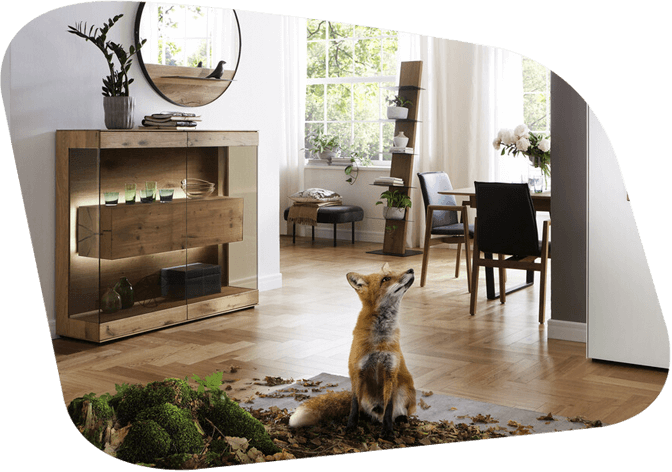 Fuchs vor beleuchteter Massivholzvitrine