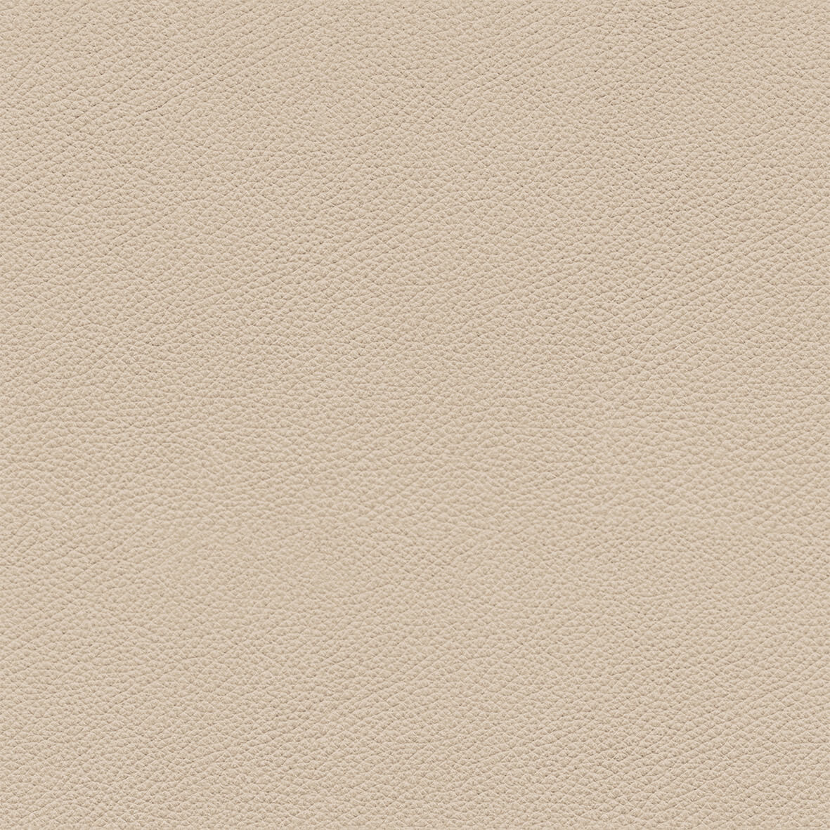 Nahaufnahme einer hellbeigen Lederstruktur mit feiner Körnung