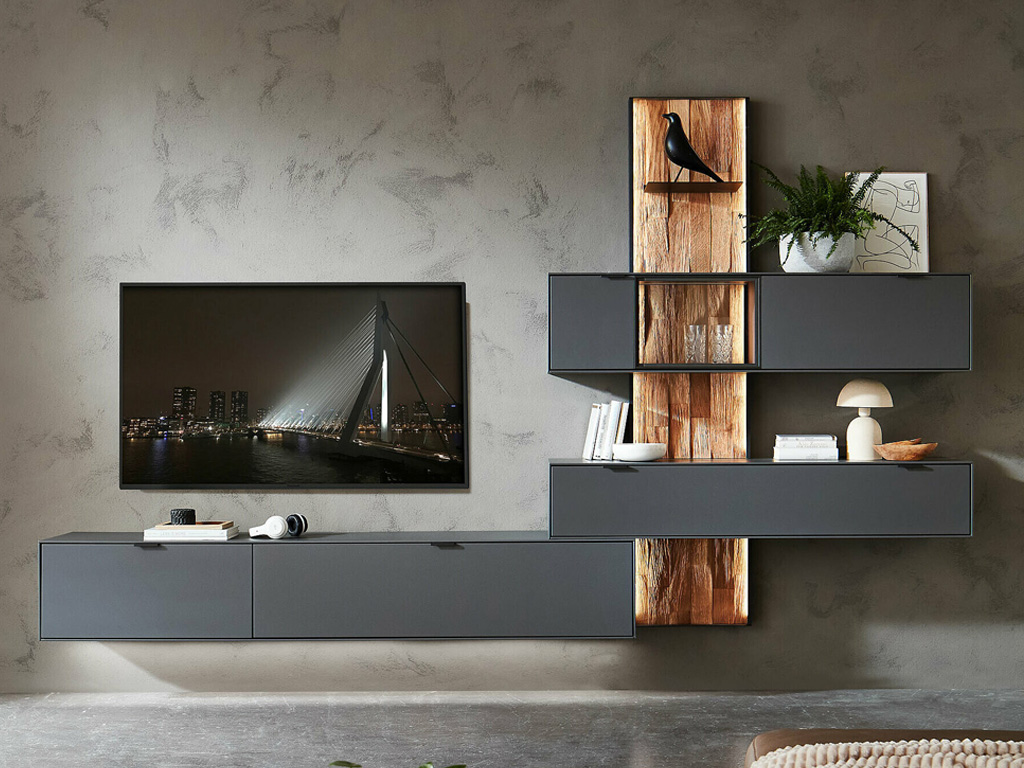 Wöstmann WM 2470 - Wohnwand  | Type 0009/0109 Ein modern eingerichtetes Wohnzimmer mit einem eleganten, dunklen Wandregalsystem, dekoriert mit Büchern, Pflanzen und einem Vogelornament, neben einem großen Flachbildfernseher.