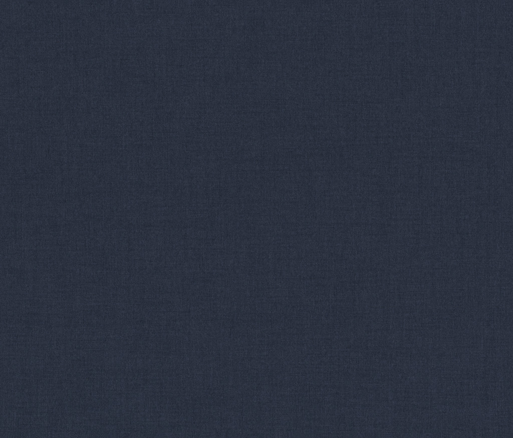 393 Alpina navy