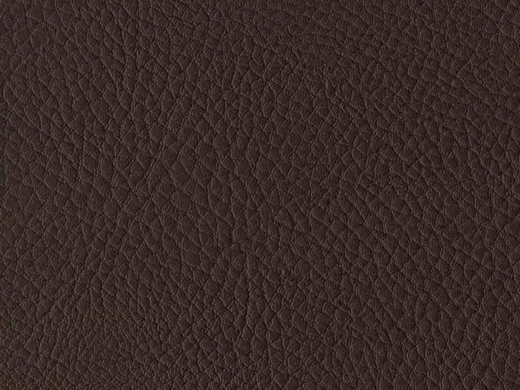 4302 mocca