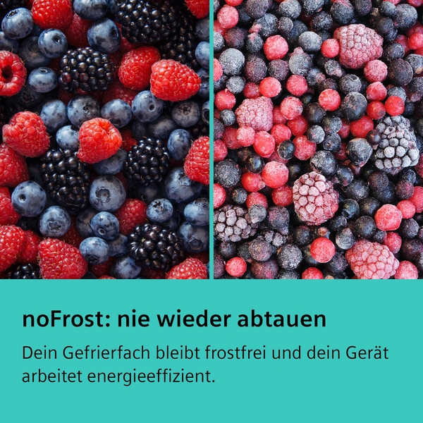Frische und gefrorene Beeren. Text: noFrost, nie wieder abtauen.