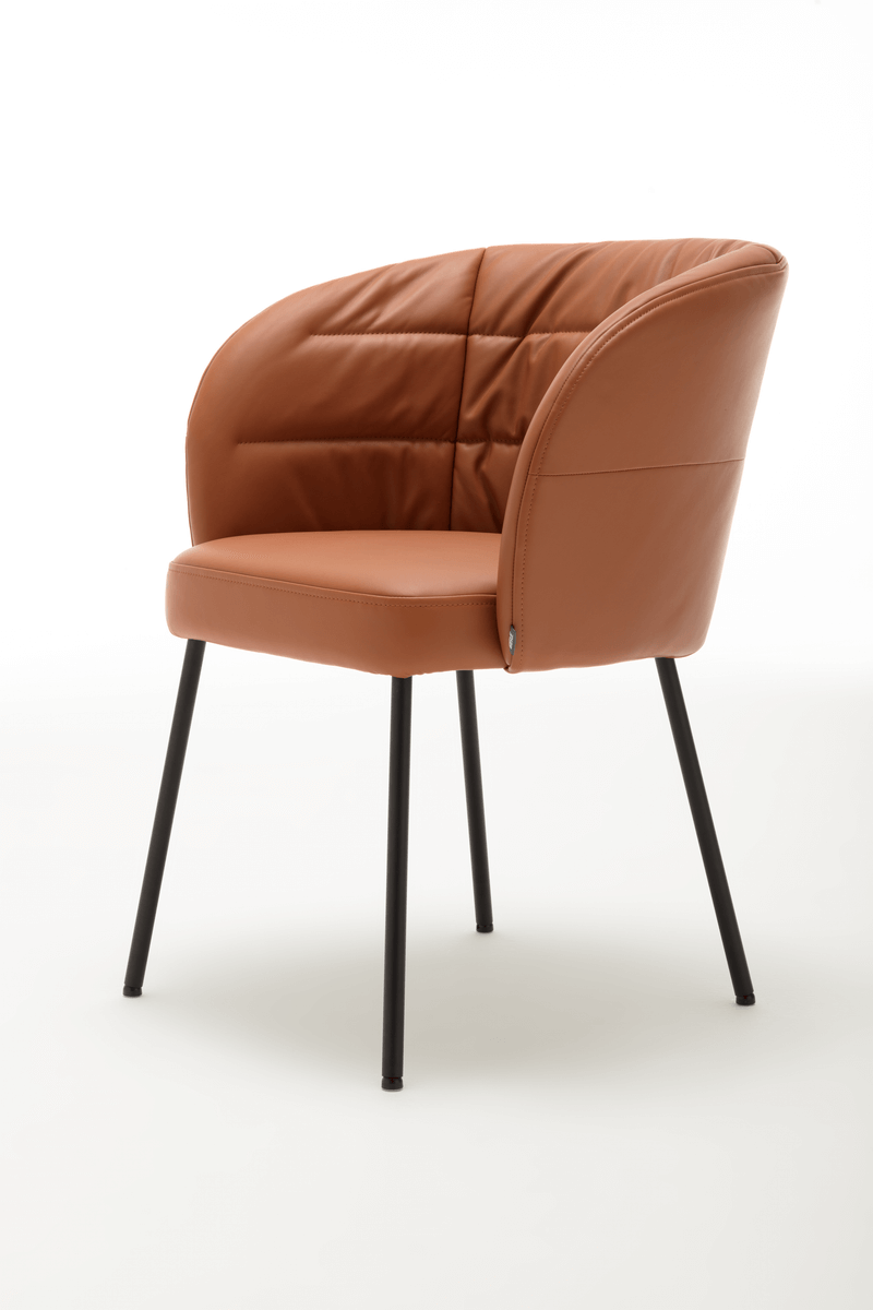 ROLF BENZ Stühle & | Markenmöbel Tische Onlineshop