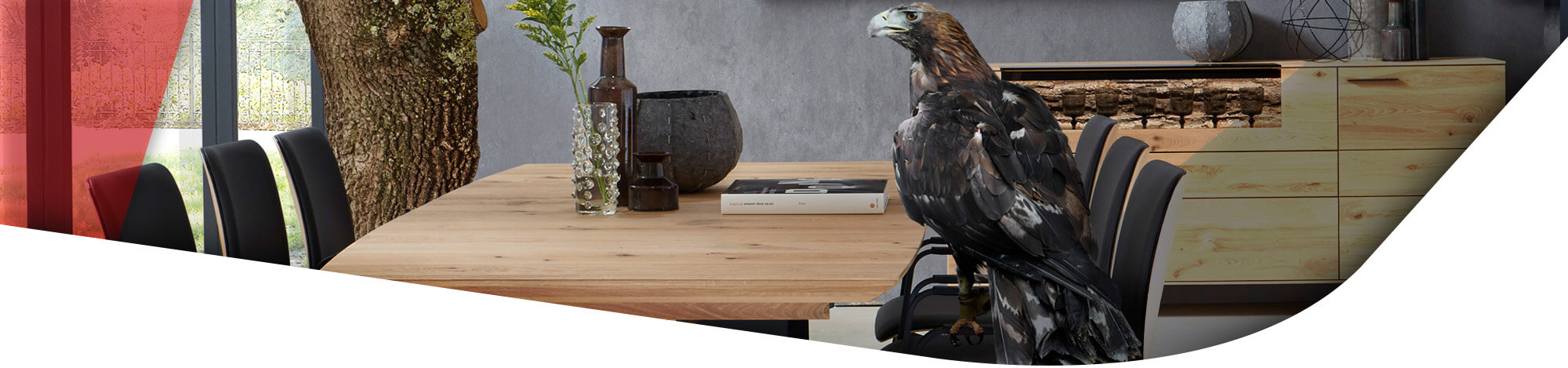 Adler auf einem Polsterstuhl im Esszimmer sitzend