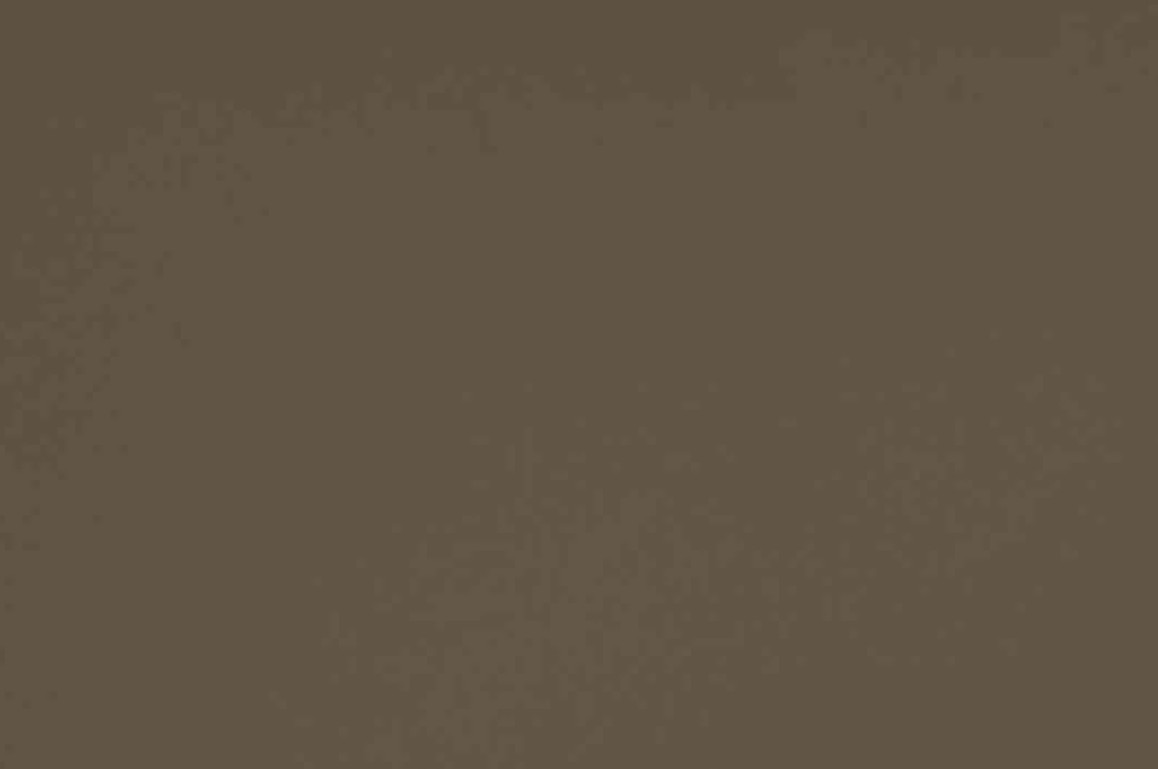 Farbe im Detail Mattglas bronze