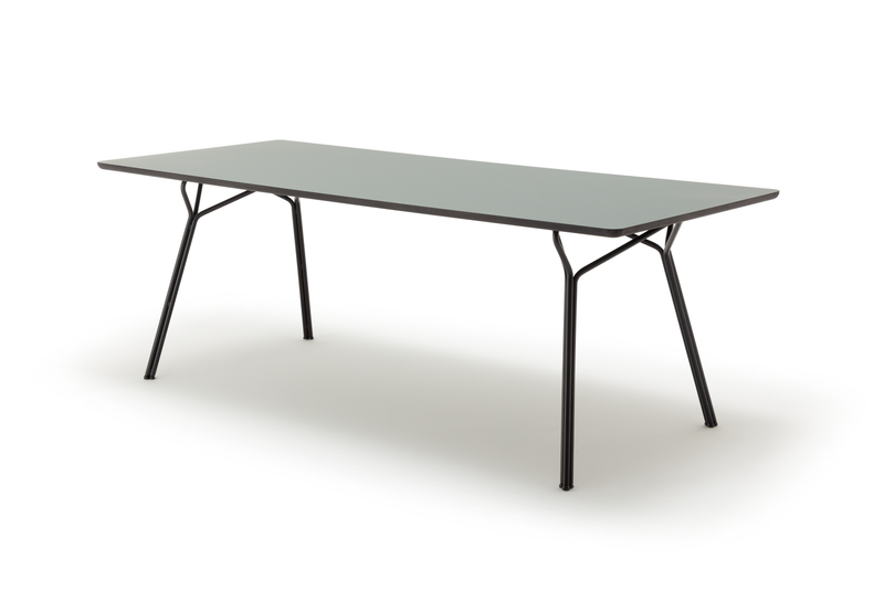 freistil Rolf Benz 120 - Esstisch (180 x 90) | Tischplatte Fenix | Gestell schwarz Moderner rechteckiger Tisch mit schlanken, schwarzen Metallbeinen und einer glatten Tischplatte