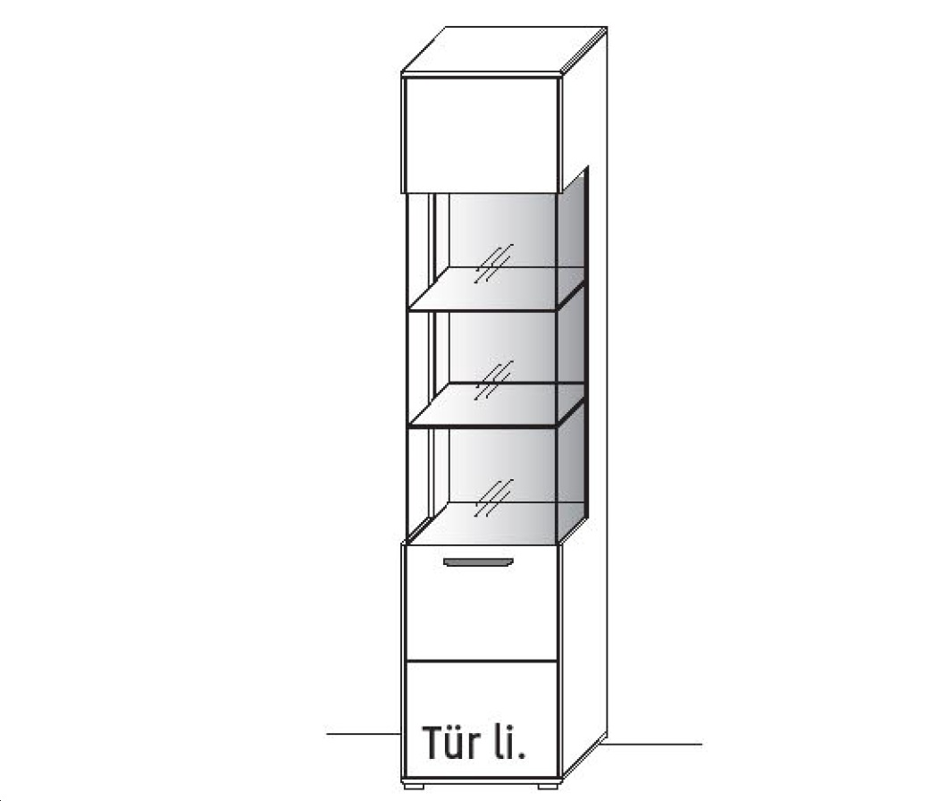 Illustration einer Vitrine vor weißem Hintergrund