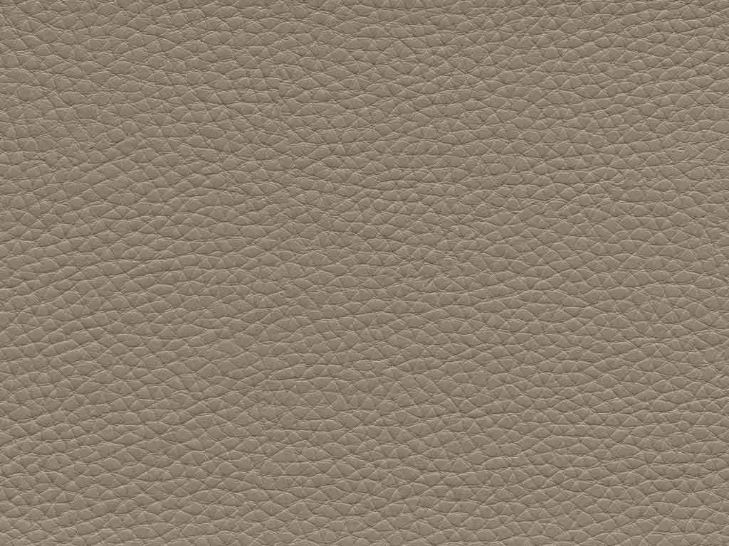 S453 taupe