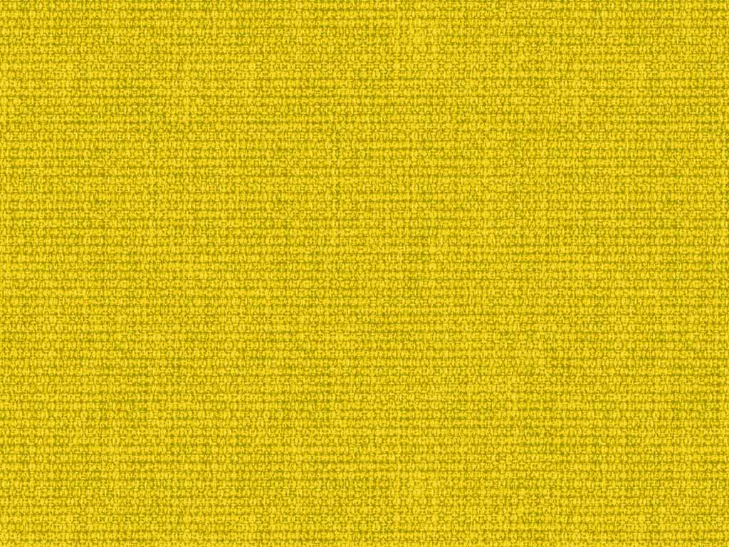 MD06
