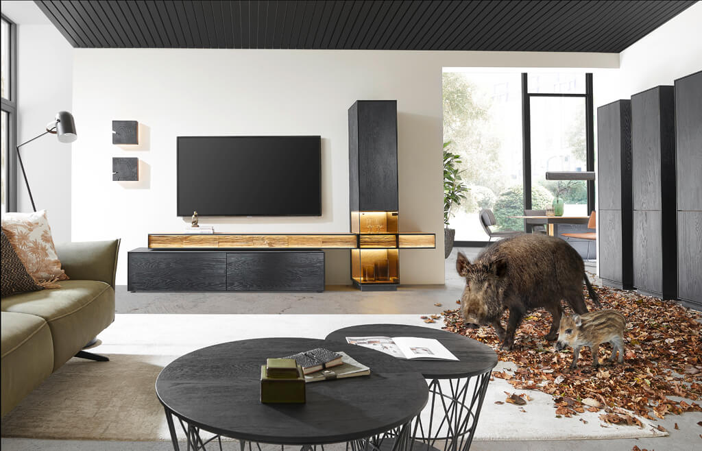 Wildschwein in Wohnzimmer mit anthrazit Massivholzmöbel beleuchtet