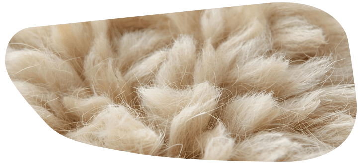 Schaffell Nahaufnahme