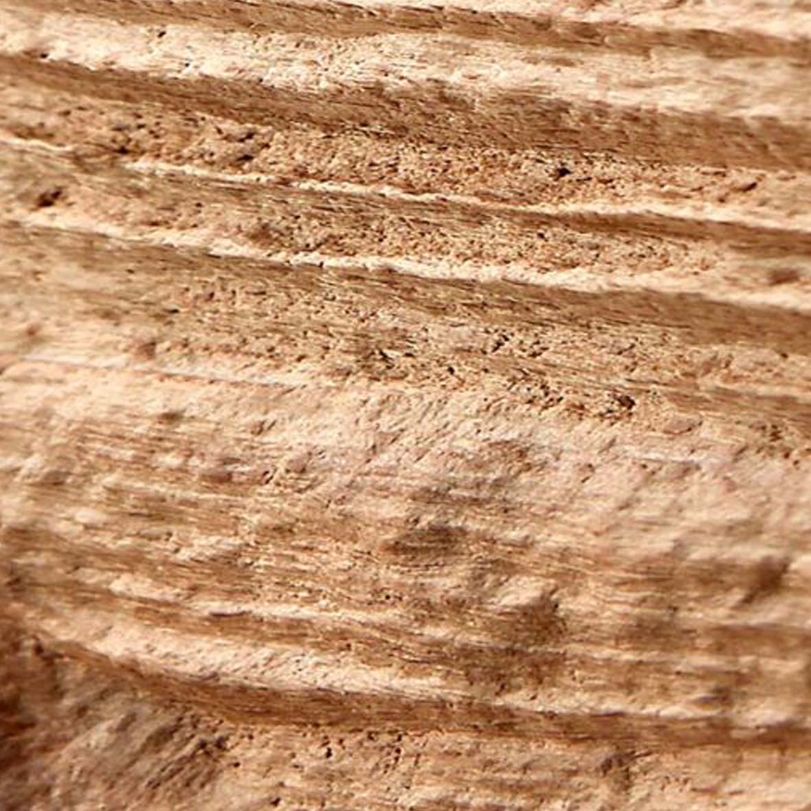 Nahaufnahme von natürlicher Holzoberfläche mit sichtbaren Maserungen und Texturen