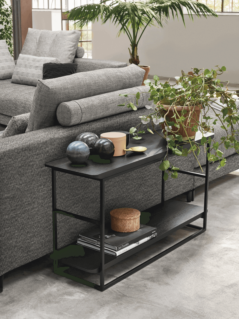 Rolf Benz 987 - Ablagetisch/Koppeltisch/Regal Schwarzer Beistelltisch mit Pflanzen und Deko-Objekten neben einem grauen Sofa in einem stilvollen Wohnzimmer