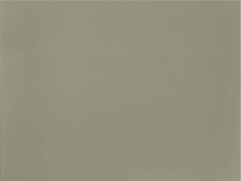 495 Lack, Olive Premium matt