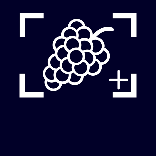 Weißes Trauben-Symbol auf dunkelblauem Hintergrund mit Rahmen und Pluszeichen