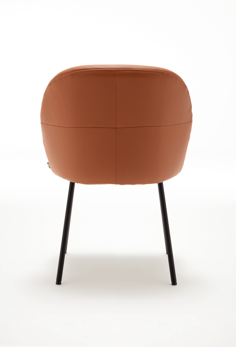 Rückansicht eines braunen Sessels mit Lederpolsterung und schwarzen Metallbeinen auf weißem Hintergrund