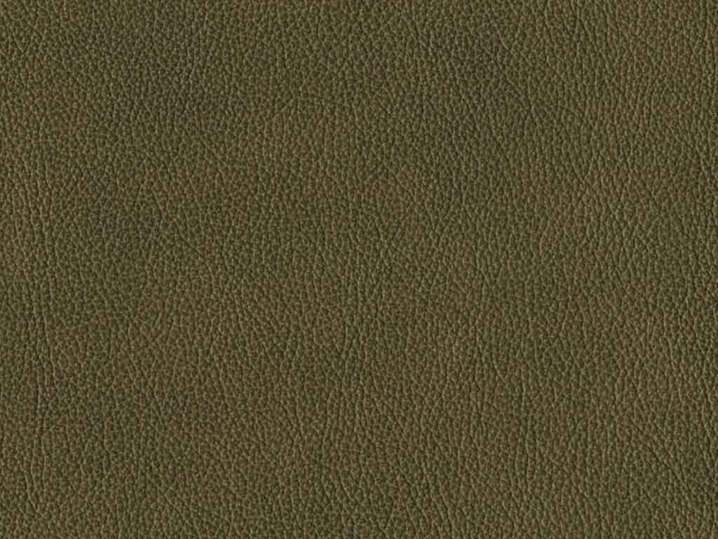 4106 Echtleder Vintage olive