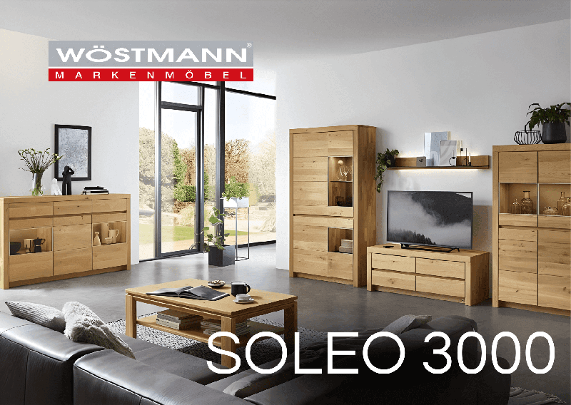 Wohnzimmer mit Massivholz Wohnwand und zusätzlichem Sideboard und Couchtisch