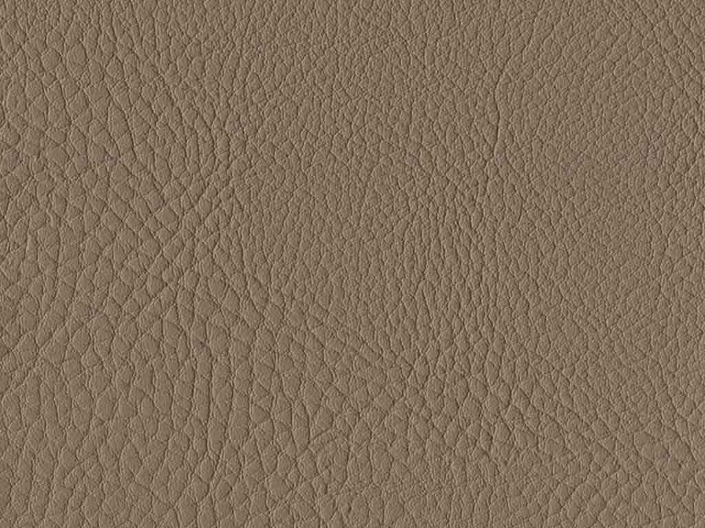 4301 khaki